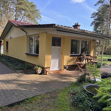Borkwalde Ferienhaus Im Wald מראה חיצוני תמונה