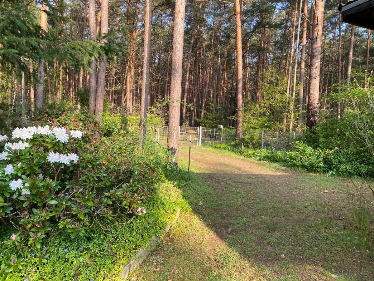 Borkwalde Ferienhaus Im Wald מראה חיצוני תמונה