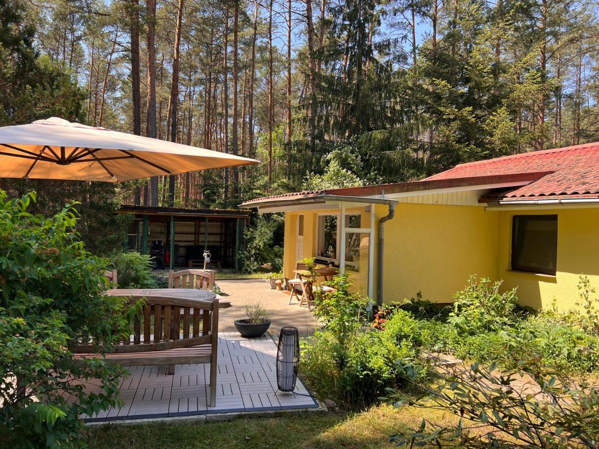 Borkwalde Ferienhaus Im Wald מראה חיצוני תמונה