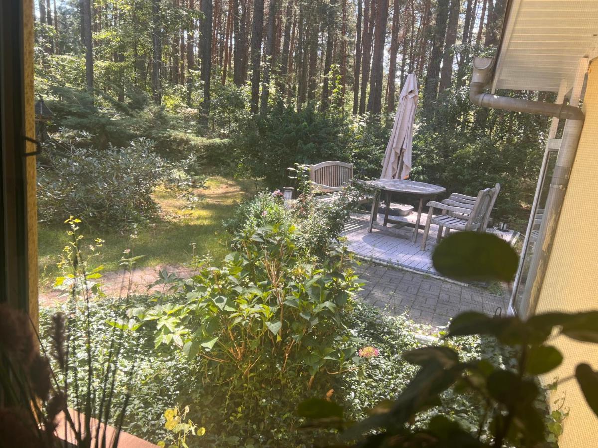 Borkwalde Ferienhaus Im Wald מראה חיצוני תמונה