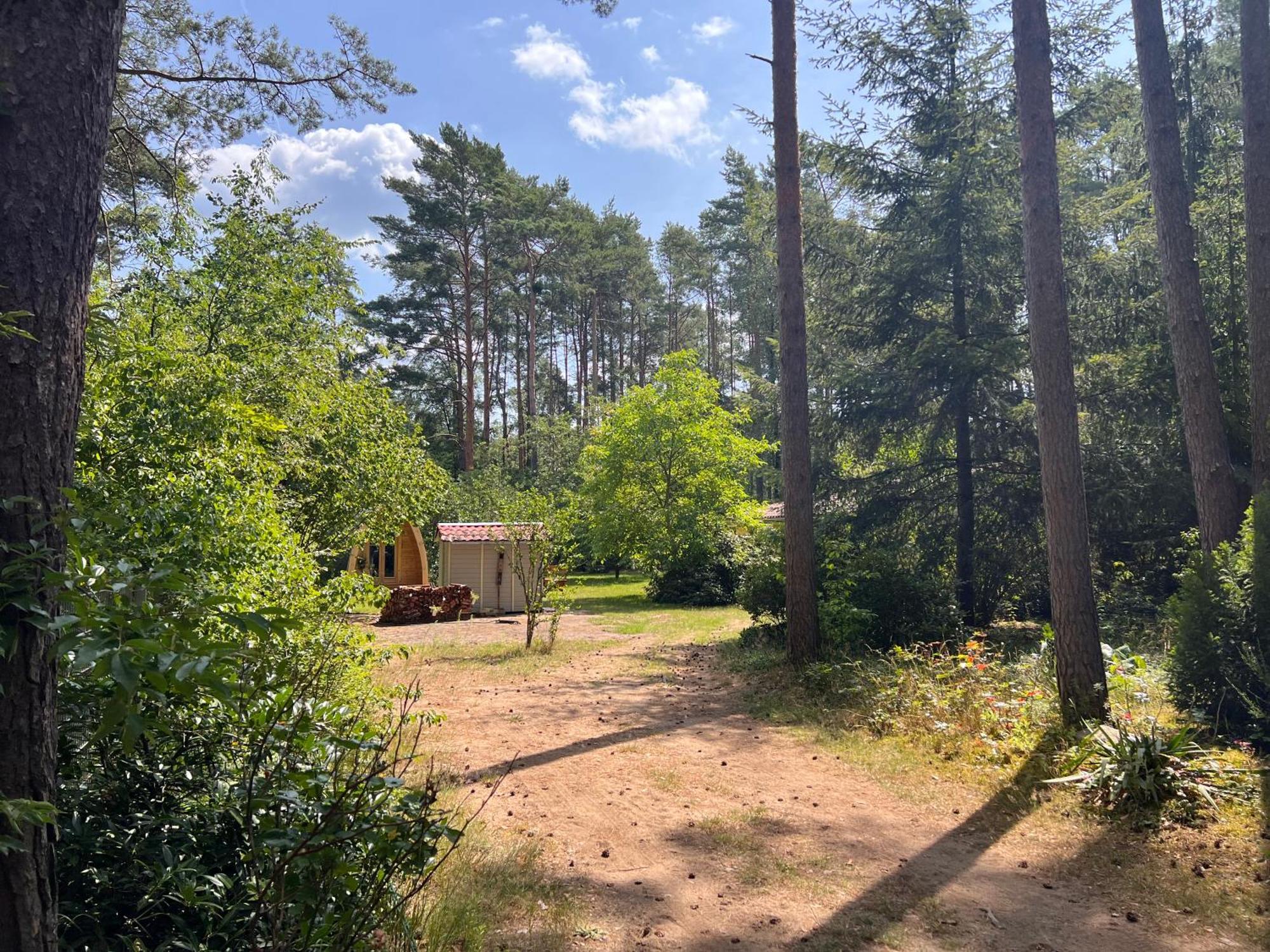 Borkwalde Ferienhaus Im Wald מראה חיצוני תמונה