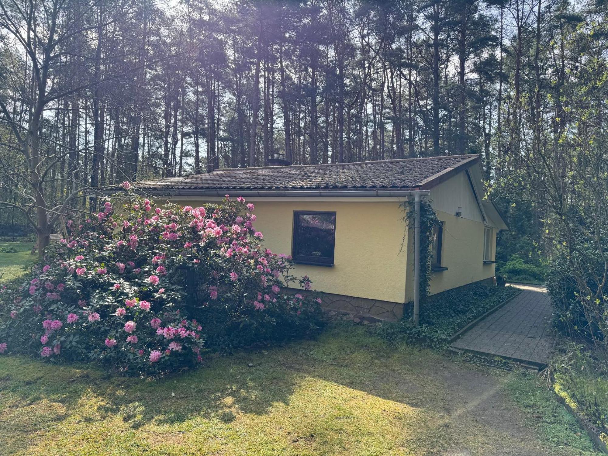 Borkwalde Ferienhaus Im Wald מראה חיצוני תמונה