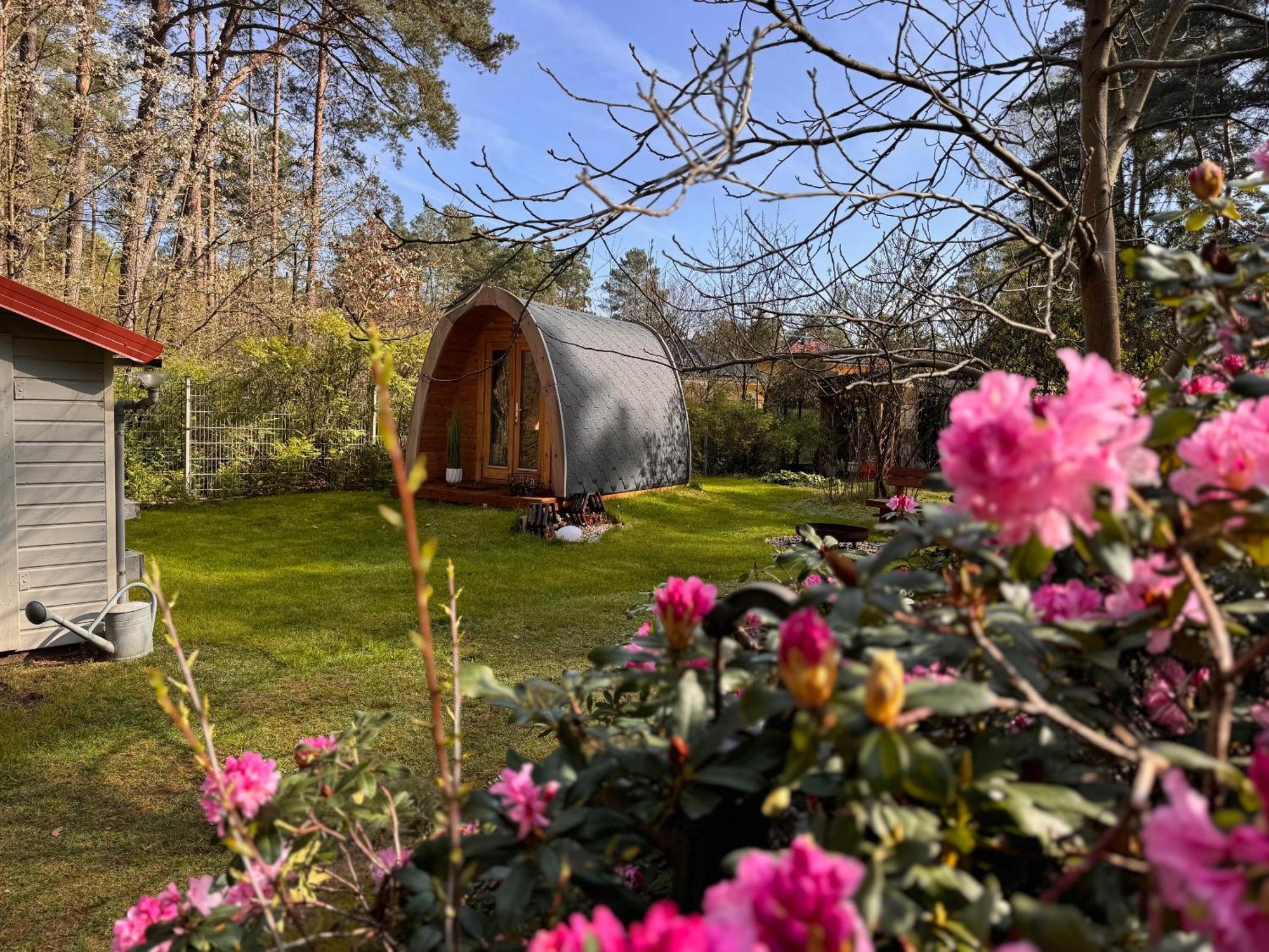 Borkwalde Ferienhaus Im Wald מראה חיצוני תמונה