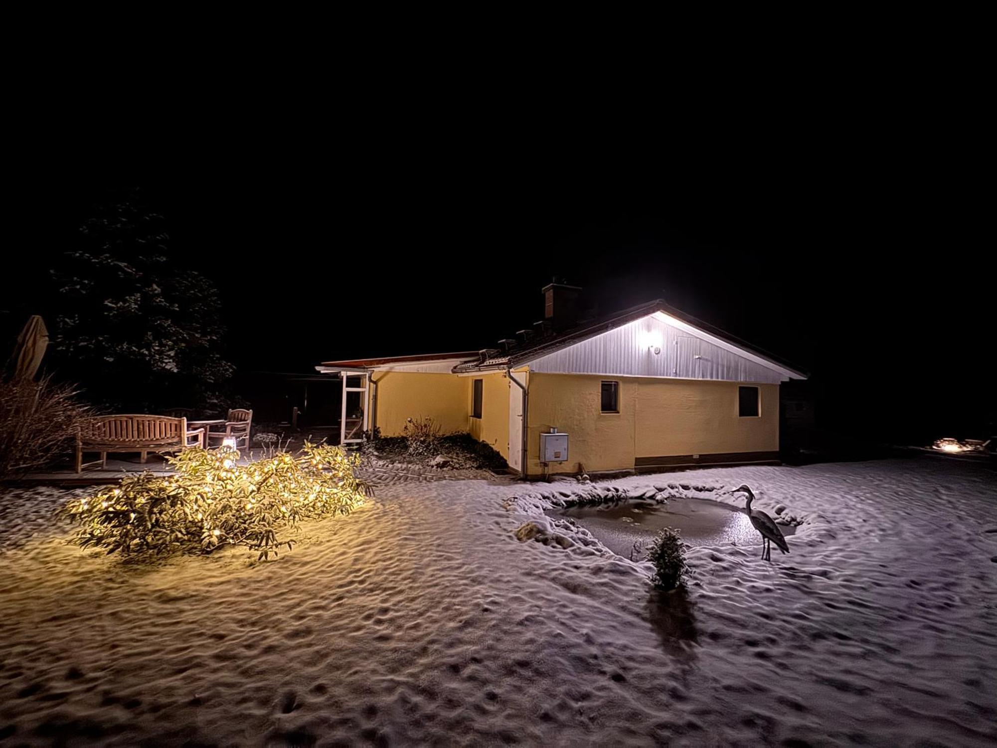 Borkwalde Ferienhaus Im Wald מראה חיצוני תמונה