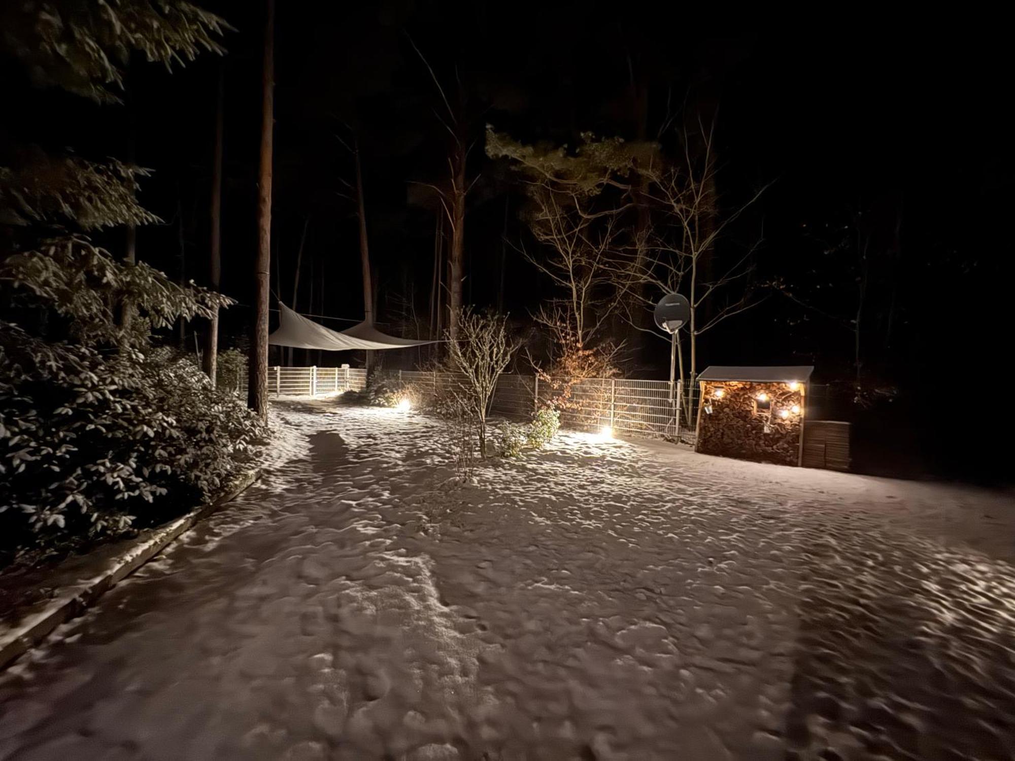 Borkwalde Ferienhaus Im Wald מראה חיצוני תמונה